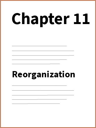 Chapter 11 Bankruptcy